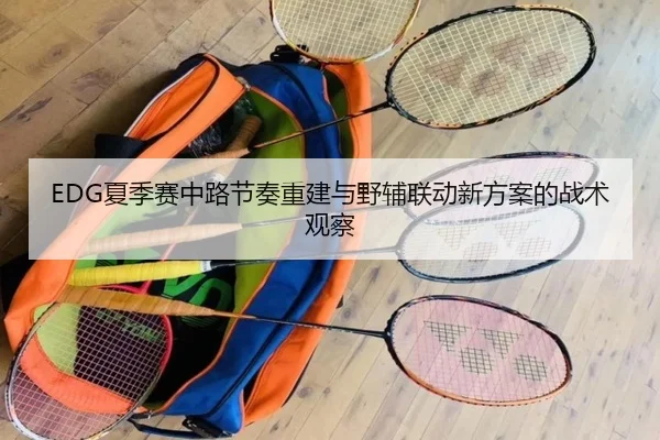 EDG夏季赛中路节奏重建与野辅联动新方案的战术观察